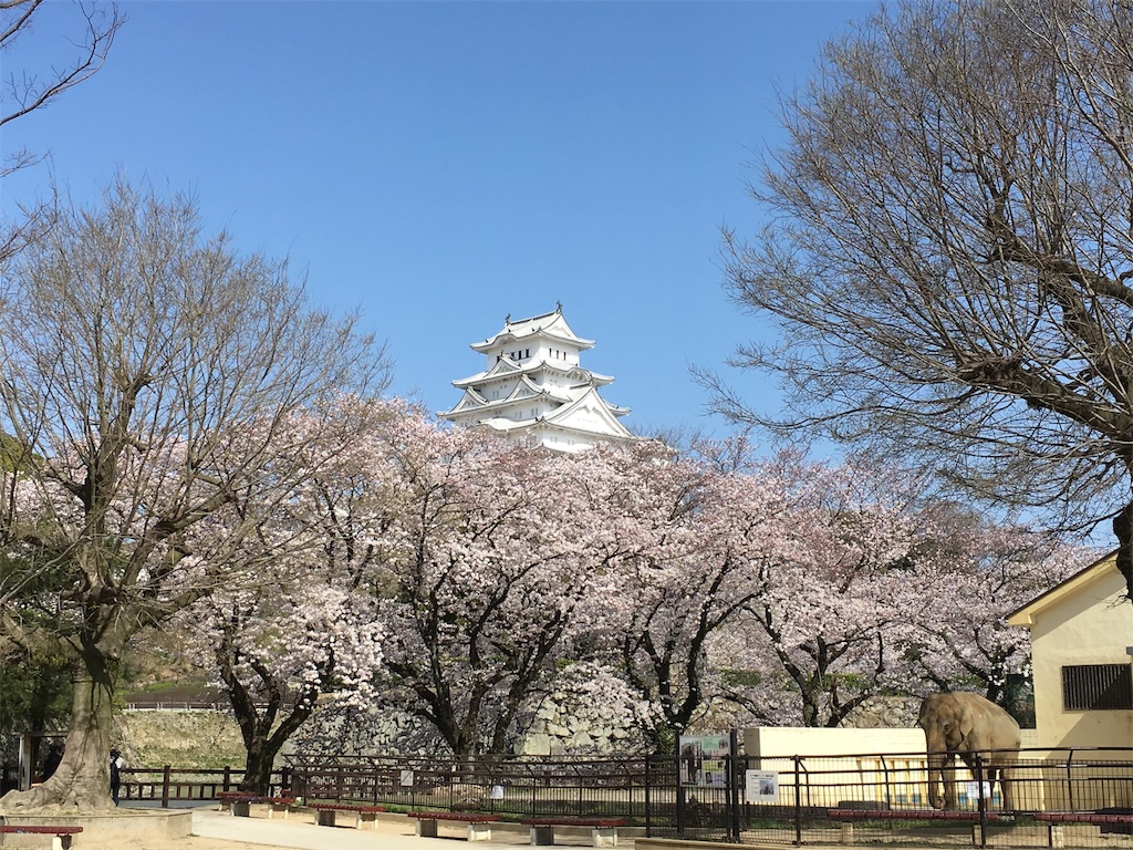 f:id:shogot1978:20180408190834j:image