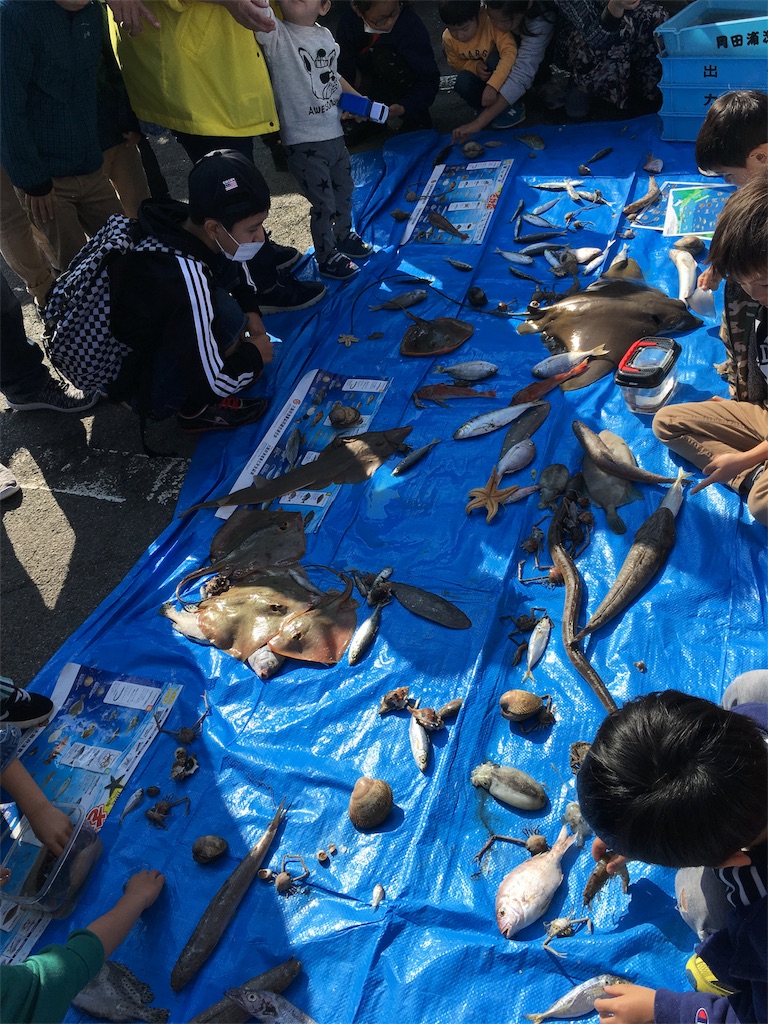 f:id:shogot1978:20181111201850j:image