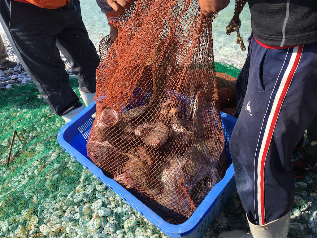 f:id:shogot1978:20181111202600j:image