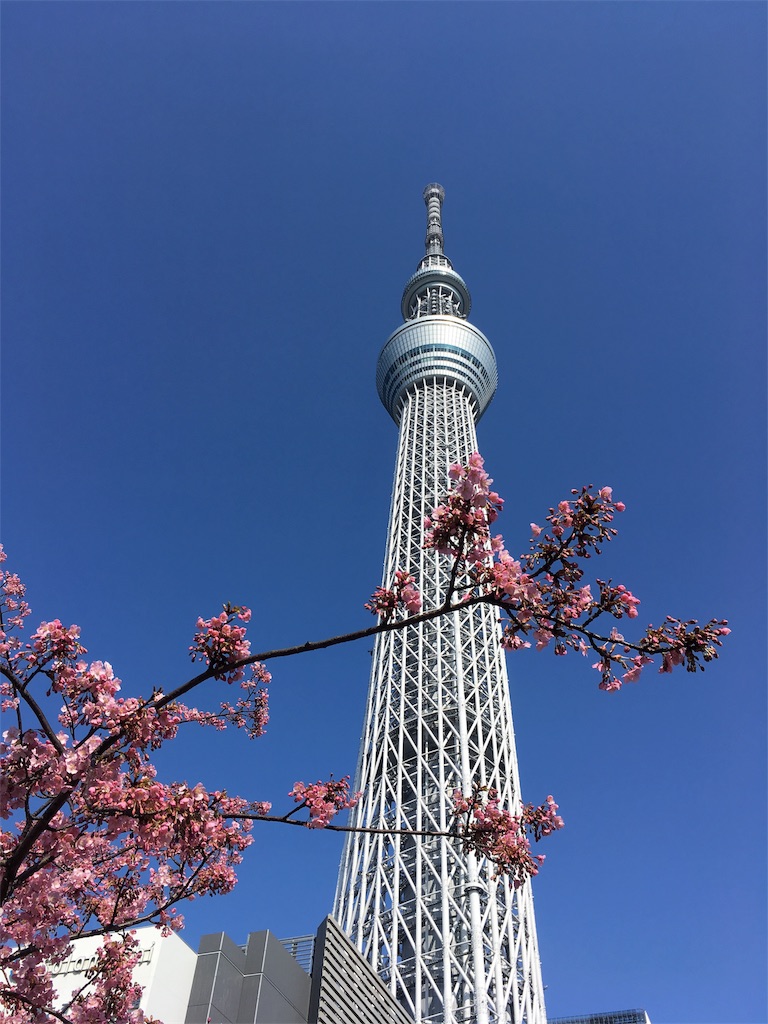 f:id:shogot1978:20190306204407j:image f:id:shogot1978:20190306204407j:image