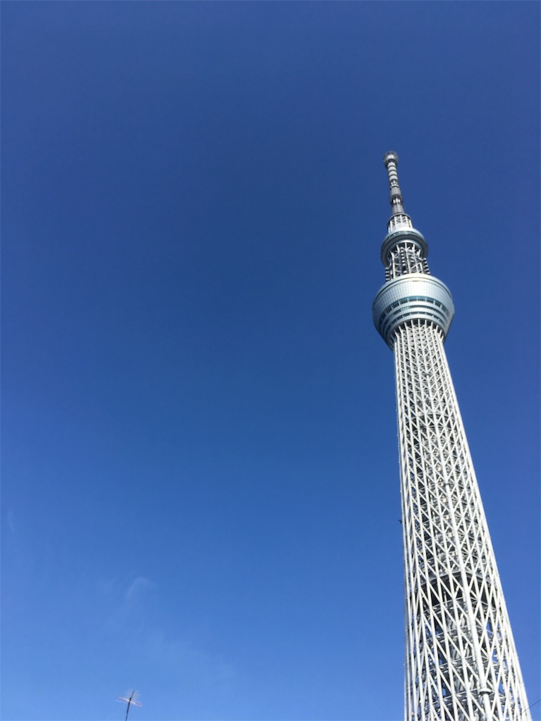 f:id:shogot1978:20190309124226j:image