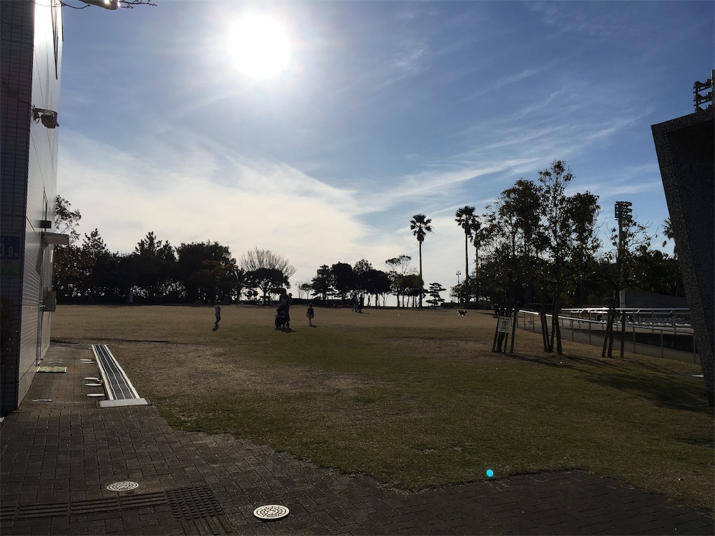 f:id:shogot1978:20190321205013j:image