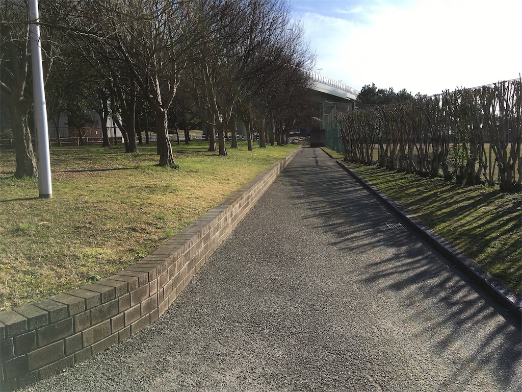 f:id:shogot1978:20190321205026j:image