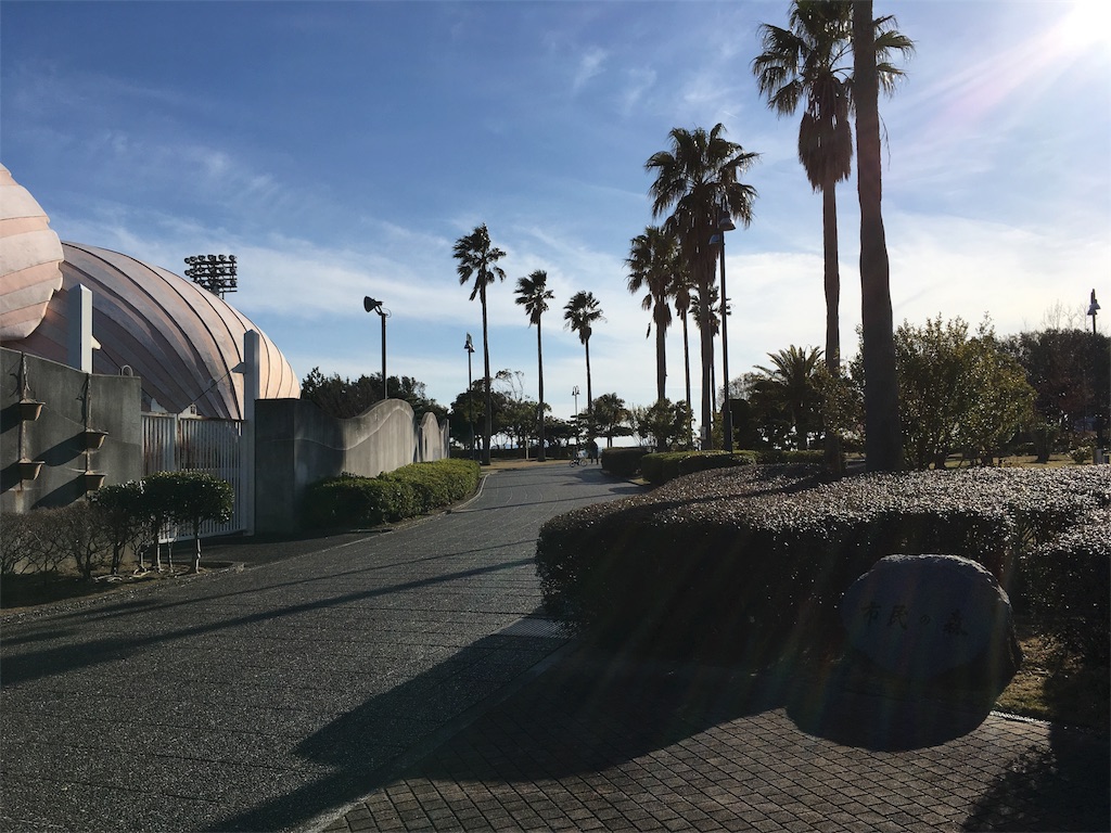 f:id:shogot1978:20190321205458j:image