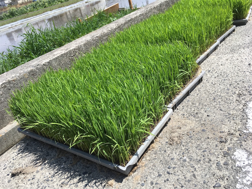 f:id:shogot1978:20190629174643j:image f:id:shogot1978:20190629174643j:image