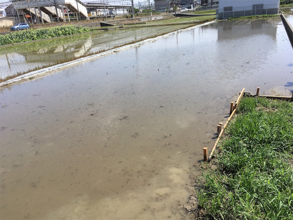 f:id:shogot1978:20190630100533j:image