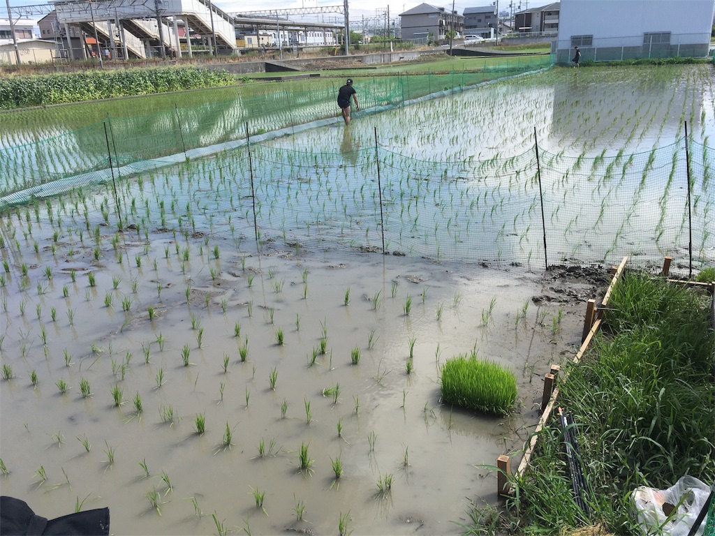 f:id:shogot1978:20190630100548j:image