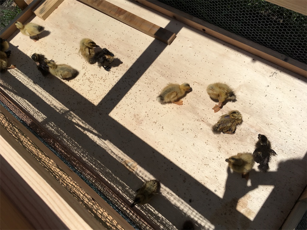 f:id:shogot1978:20190630102714j:image f:id:shogot1978:20190630102714j:image