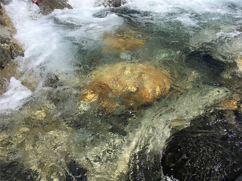 f:id:shogot1978:20190818102345j:image f:id:shogot1978:20190818102345j:image