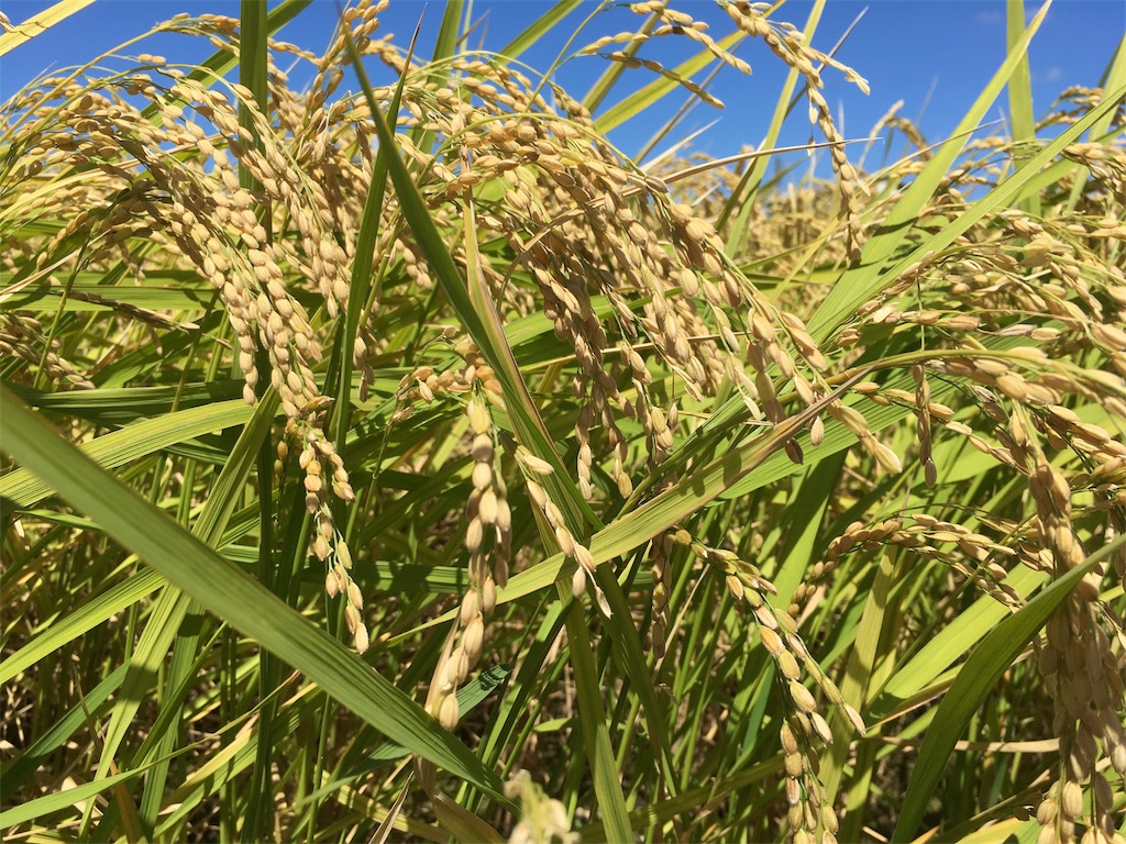 f:id:shogot1978:20190916090807j:image f:id:shogot1978:20190916090807j:image