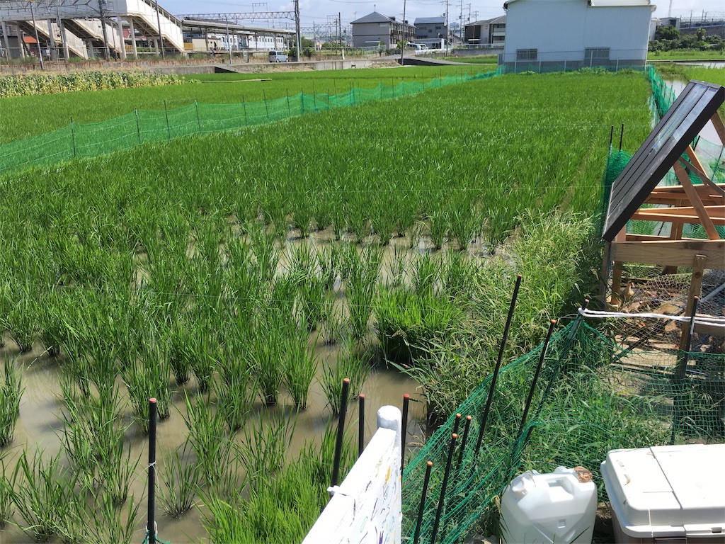 f:id:shogot1978:20190916091225j:image f:id:shogot1978:20190916091225j:image