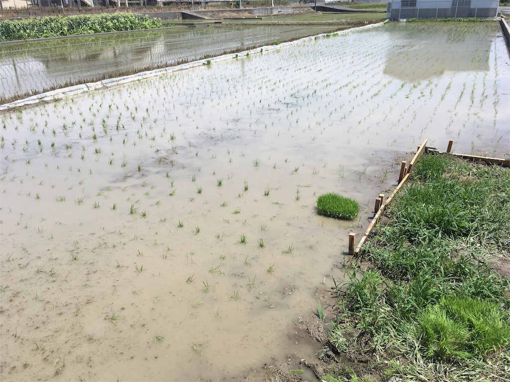 f:id:shogot1978:20190916091241j:image f:id:shogot1978:20190916091241j:image