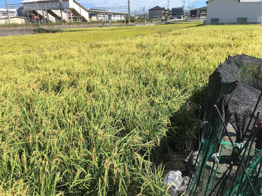 f:id:shogot1978:20190916091500j:image f:id:shogot1978:20190916091500j:image