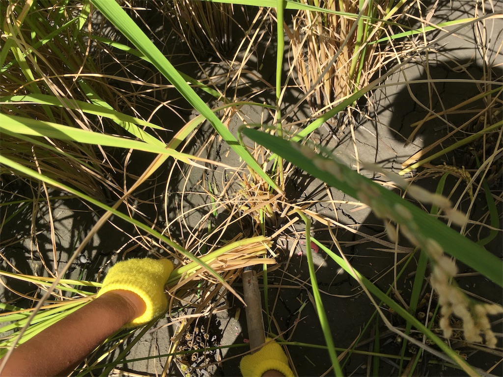 f:id:shogot1978:20190916091919j:image