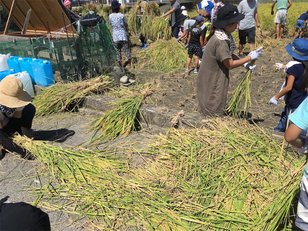 f:id:shogot1978:20190916092123j:image