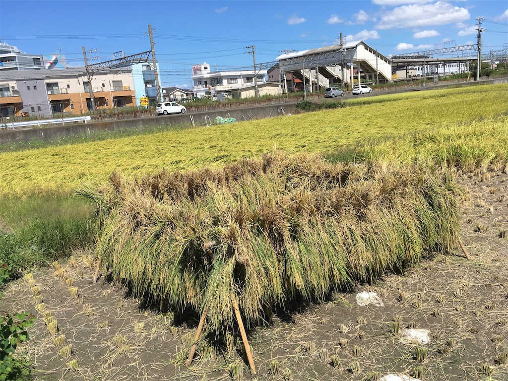 f:id:shogot1978:20190916092409j:image