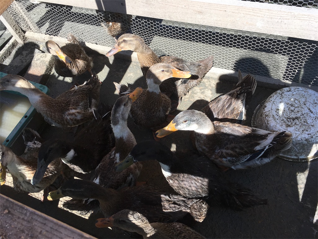 f:id:shogot1978:20190916120949j:image f:id:shogot1978:20190916120949j:image