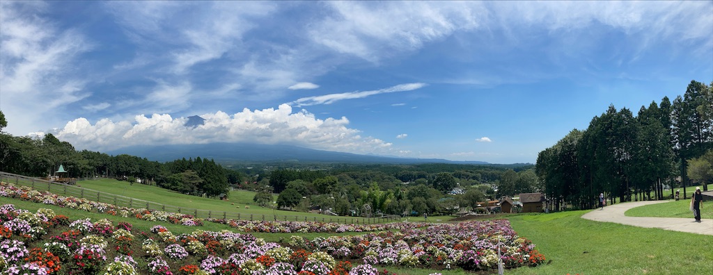 f:id:shogot1978:20200823201731j:image f:id:shogot1978:20200823201731j:image