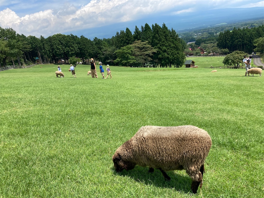 f:id:shogot1978:20200823202133j:image f:id:shogot1978:20200823202133j:image