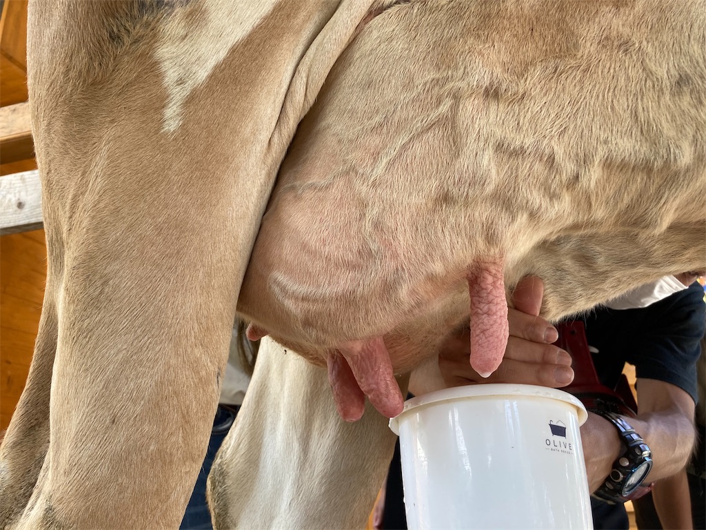 f:id:shogot1978:20200824211620j:image f:id:shogot1978:20200824211620j:image