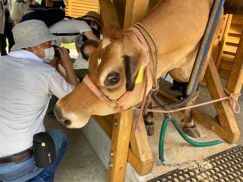 f:id:shogot1978:20200824211624j:image f:id:shogot1978:20200824211624j:image