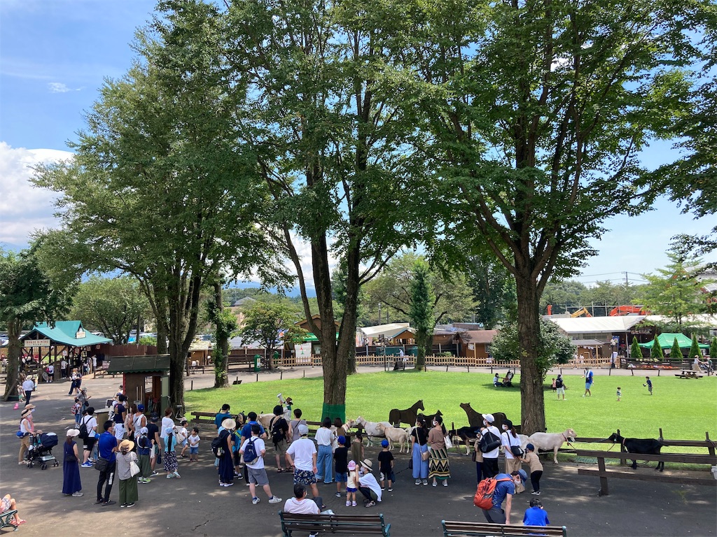 f:id:shogot1978:20200824212200j:image f:id:shogot1978:20200824212200j:image