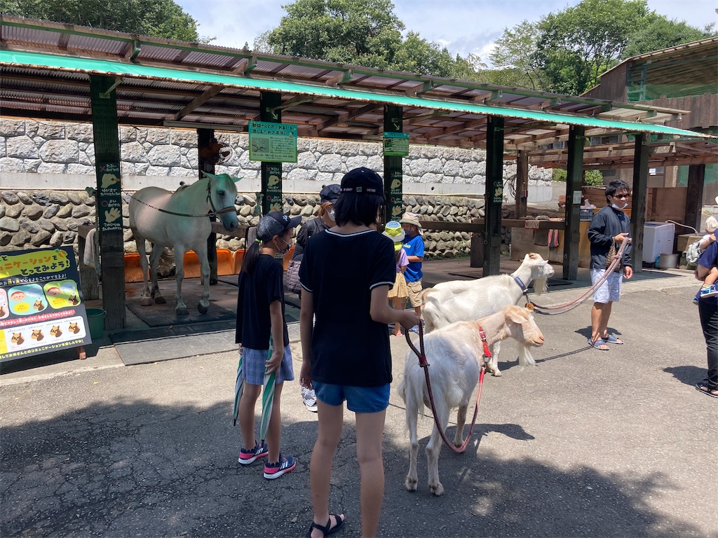 f:id:shogot1978:20200824212208j:image f:id:shogot1978:20200824212208j:image