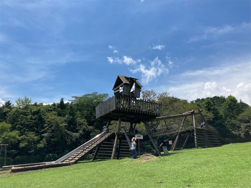 f:id:shogot1978:20200824214000j:image