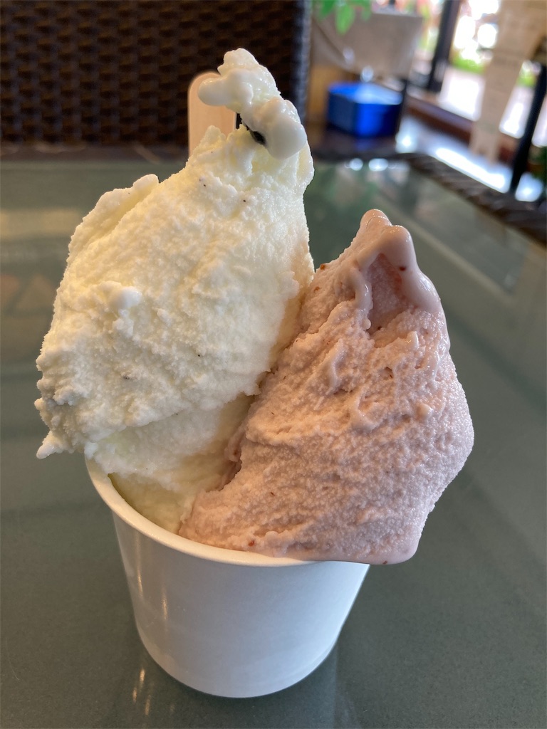 f:id:shogot1978:20200824214536j:image f:id:shogot1978:20200824214536j:image