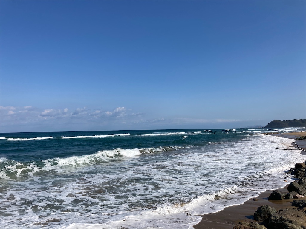 f:id:shogot1978:20201122145733j:image