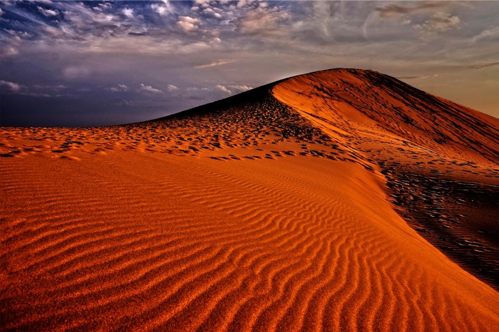 f:id:shogot1978:20201123141631j:image f:id:shogot1978:20201123141631j:image