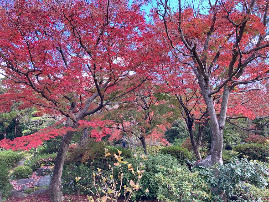 f:id:shogot1978:20201207221507j:image