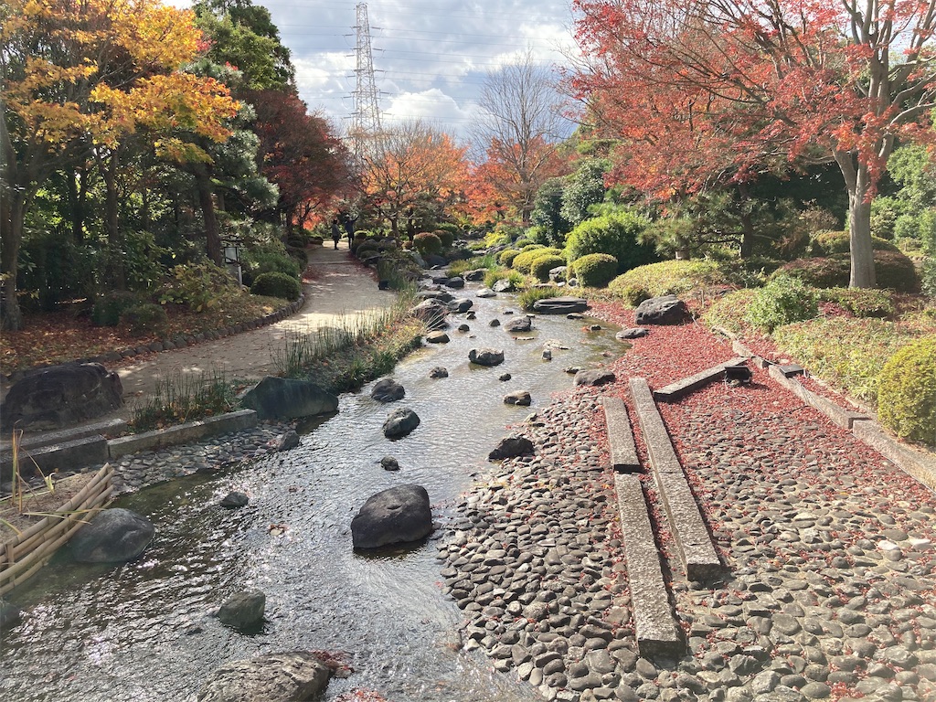 f:id:shogot1978:20201207221512j:image