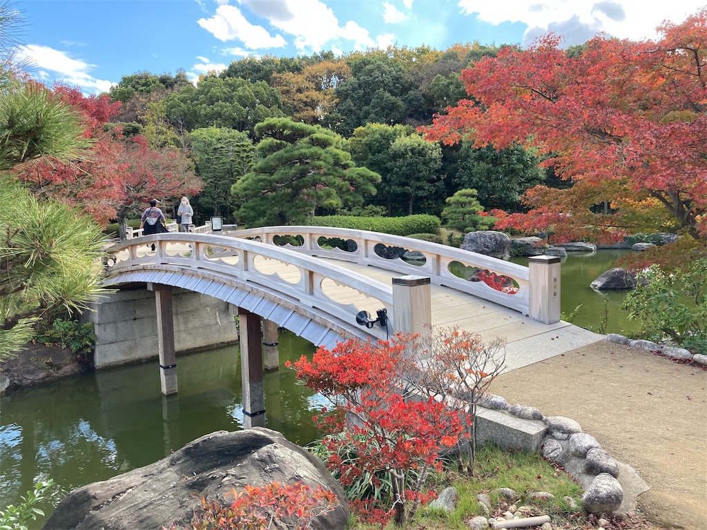 f:id:shogot1978:20201207221516j:image