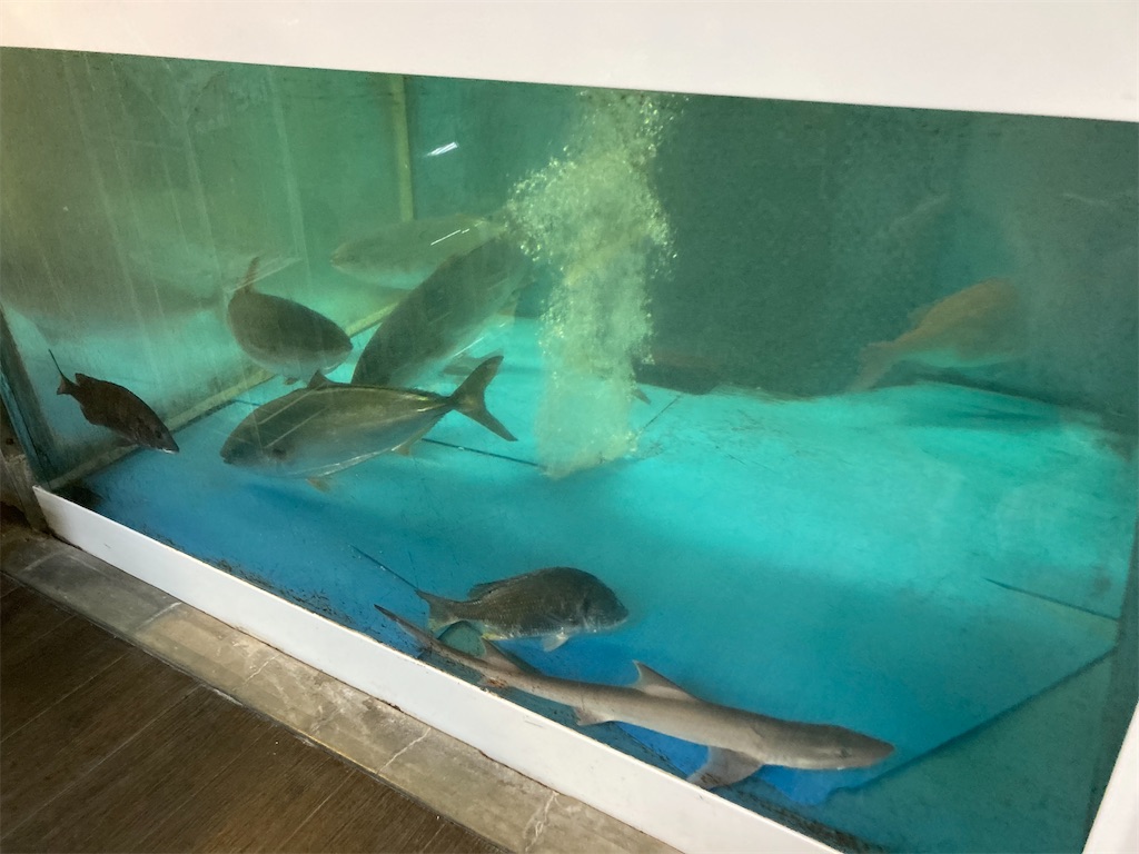 f:id:shogot1978:20220405234943j:image