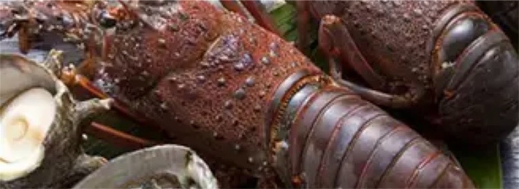 f:id:shogot1978:20250126201627j:image