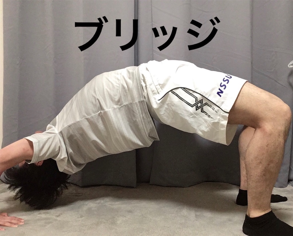 f:id:shogundayo:20200520210340j:image