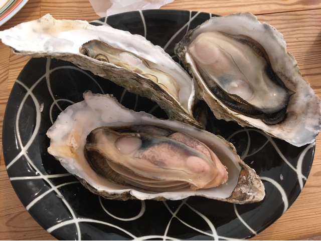 f:id:shoheiH:20181216020534j:plain f:id:shoheiH:20181216020534j:plain