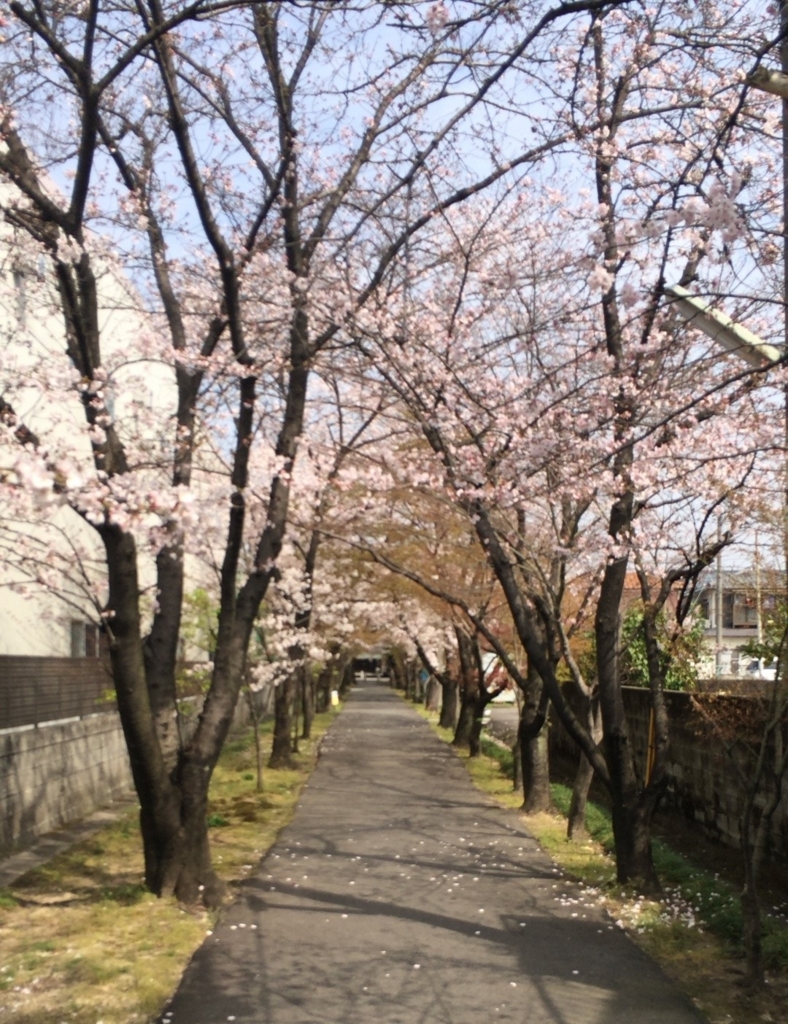 f:id:shohei_info:20160415092909j:plain