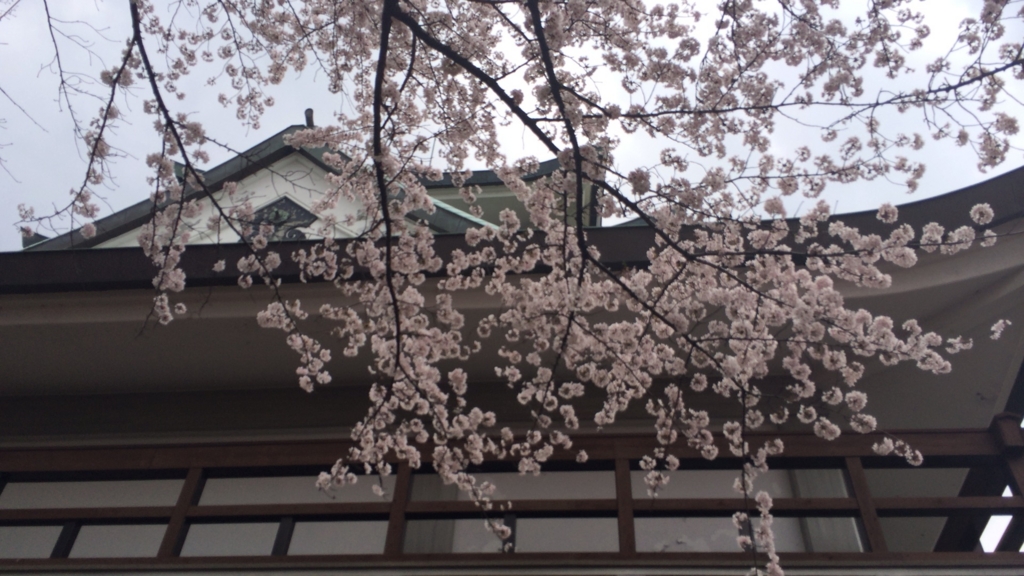 f:id:shohei_info:20160415093057j:plain