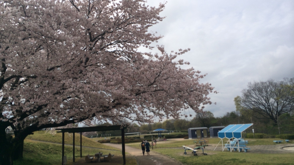 f:id:shohei_info:20160415093323j:plain