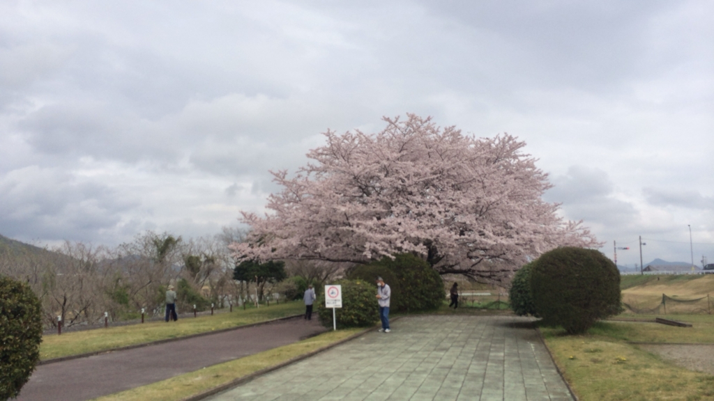 f:id:shohei_info:20160415093343j:plain