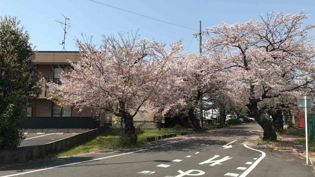 f:id:shohei_info:20170415084626j:plain