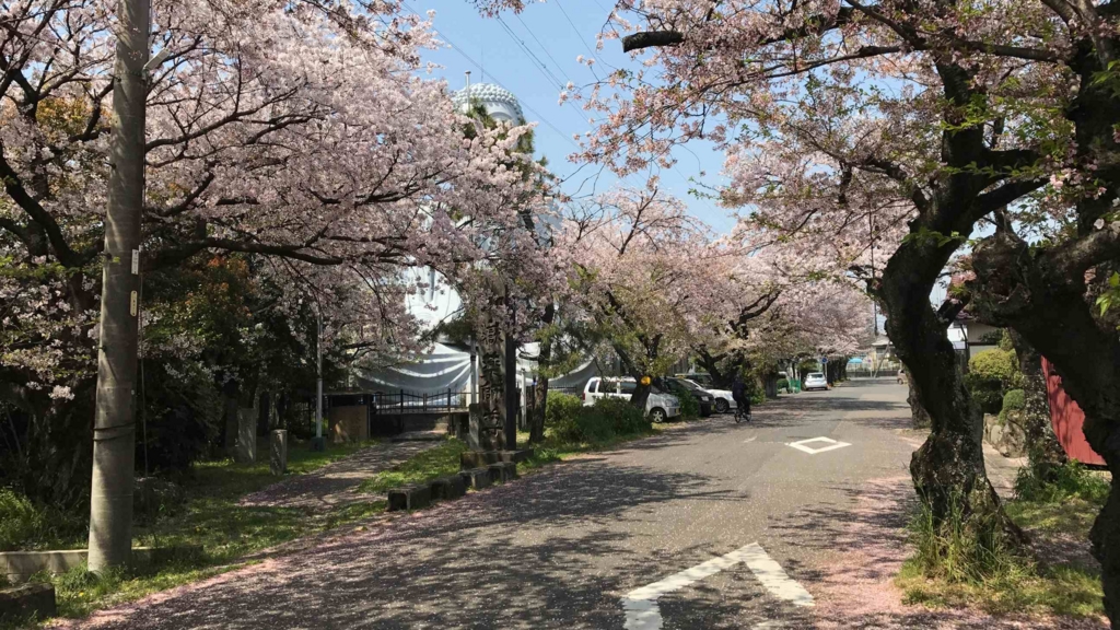 f:id:shohei_info:20170415084810j:plain