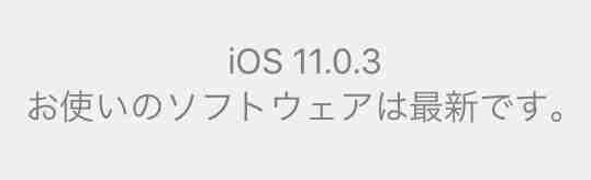 f:id:shohei_info:20171012085029j:plain