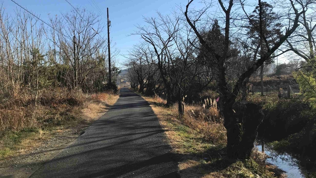 f:id:shohei_info:20190114080150j:plain