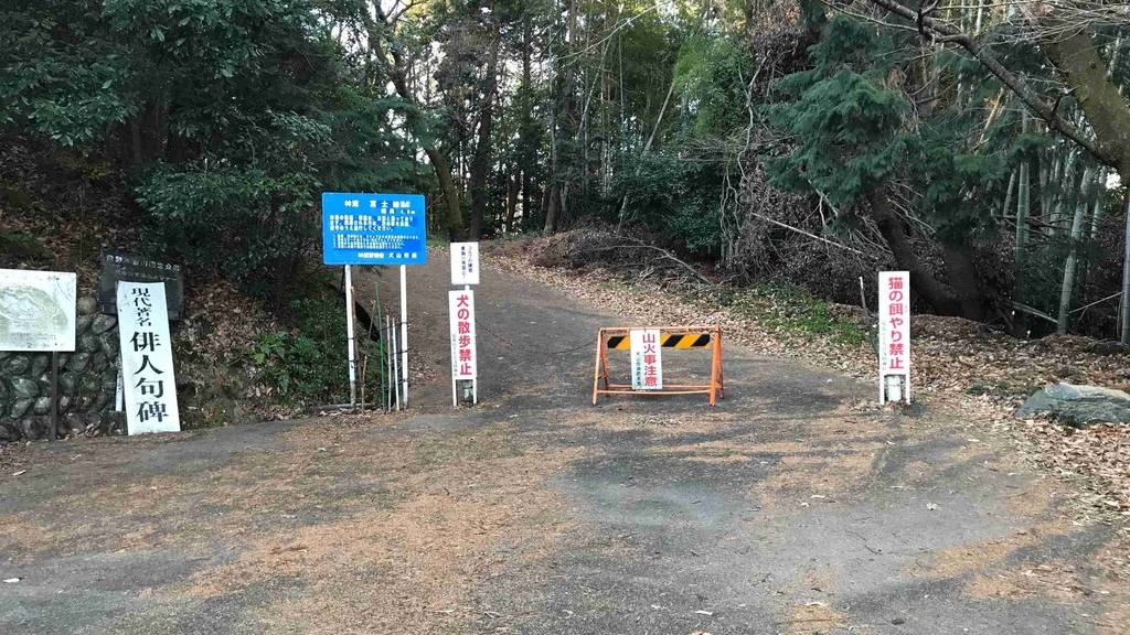 f:id:shohei_info:20190114081600j:plain