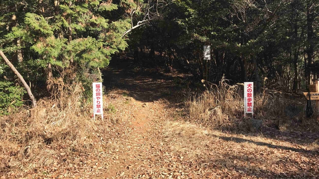 f:id:shohei_info:20190114082133j:plain