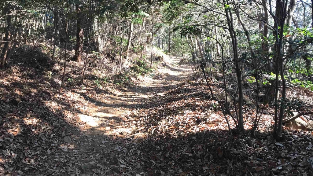 f:id:shohei_info:20190114082411j:plain