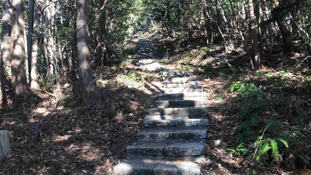 f:id:shohei_info:20190114082544j:plain